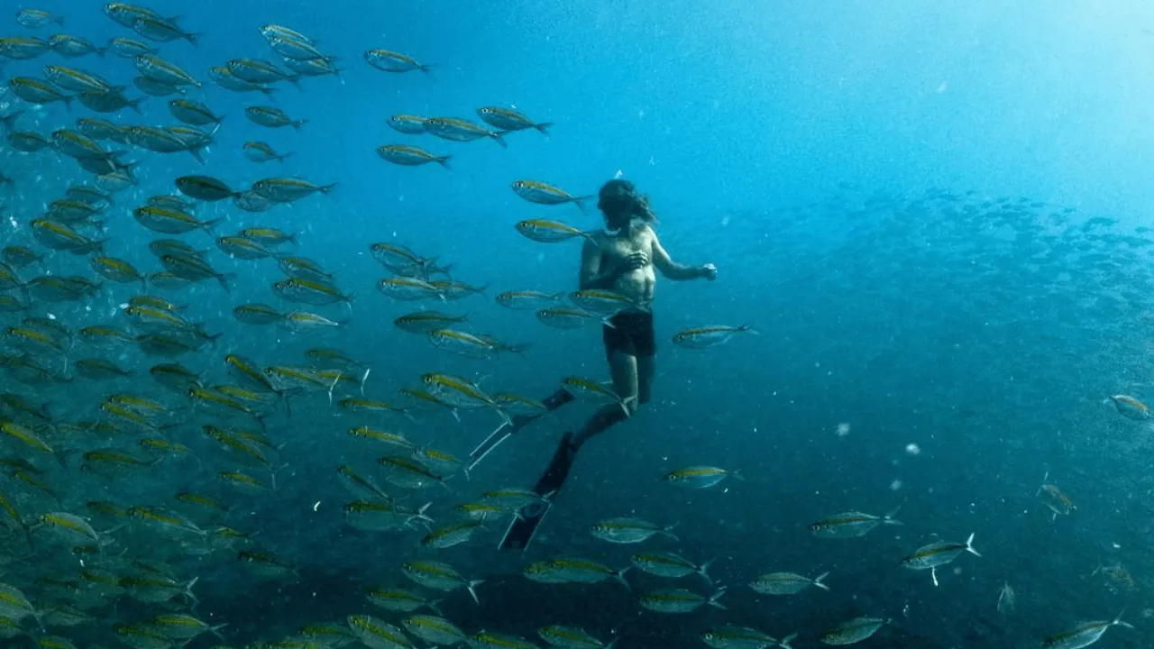 A freediver surrounded by a large school of fish