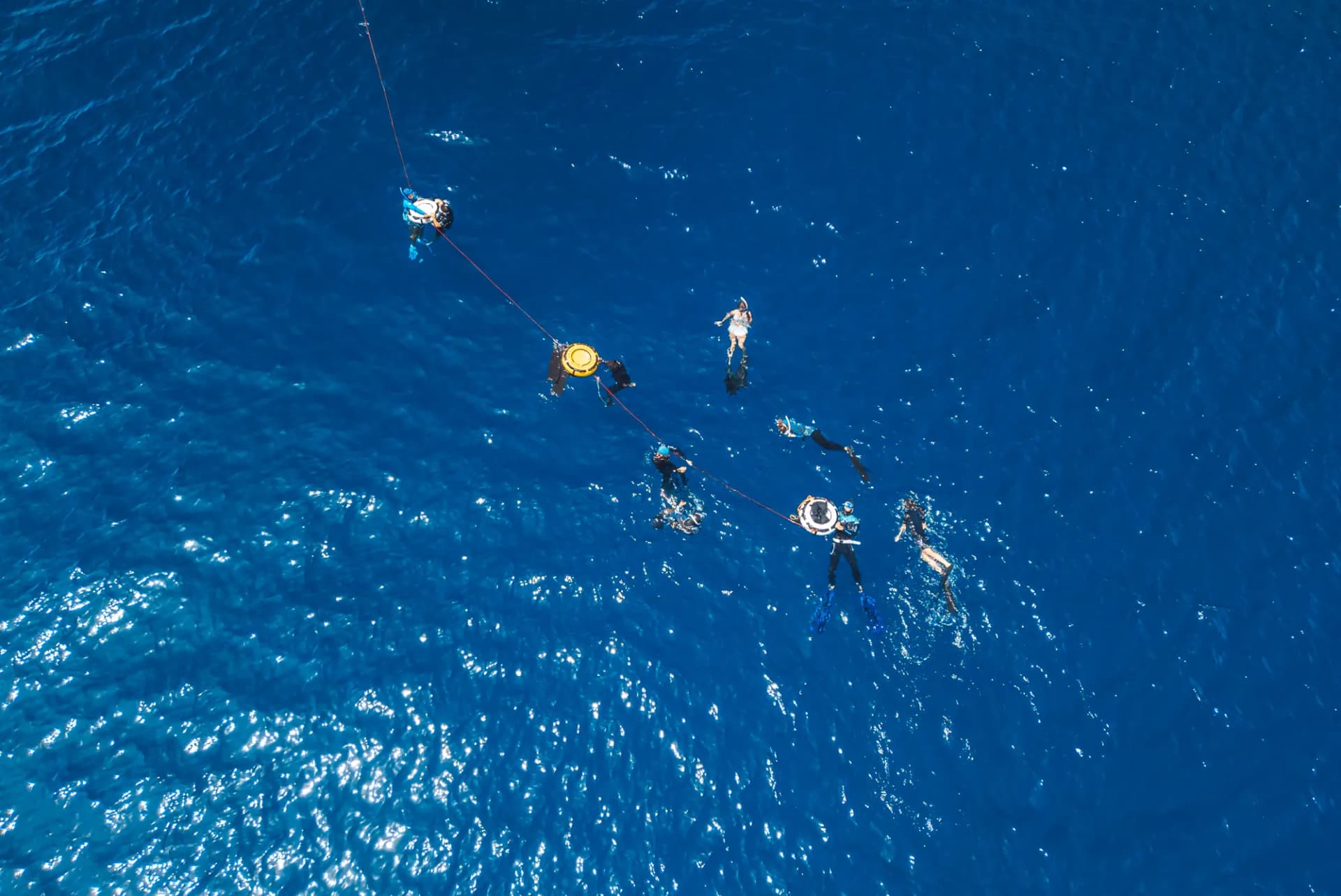 Freedivers training on the line, seen from above