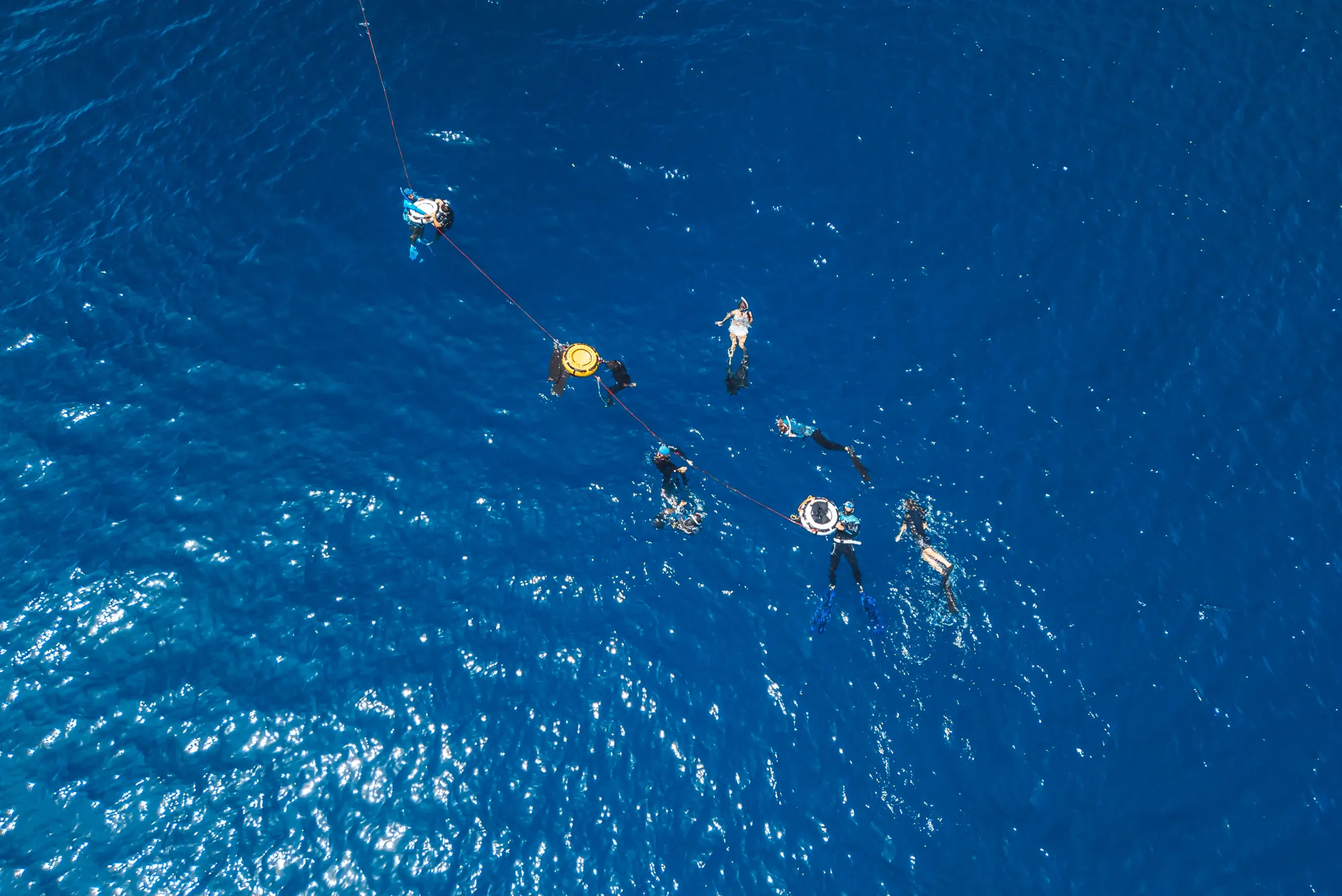 Freedivers training on the line, seen from above