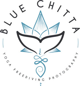 Blue Chitta - Home Page