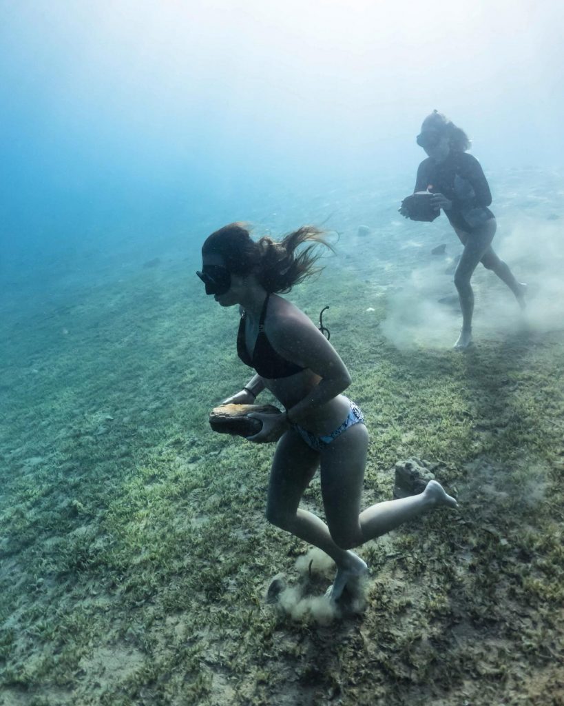 Freediving Yoga Retreat Blue Chitta