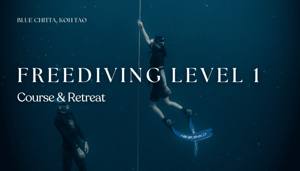 Freediving level 1 course blue chitta