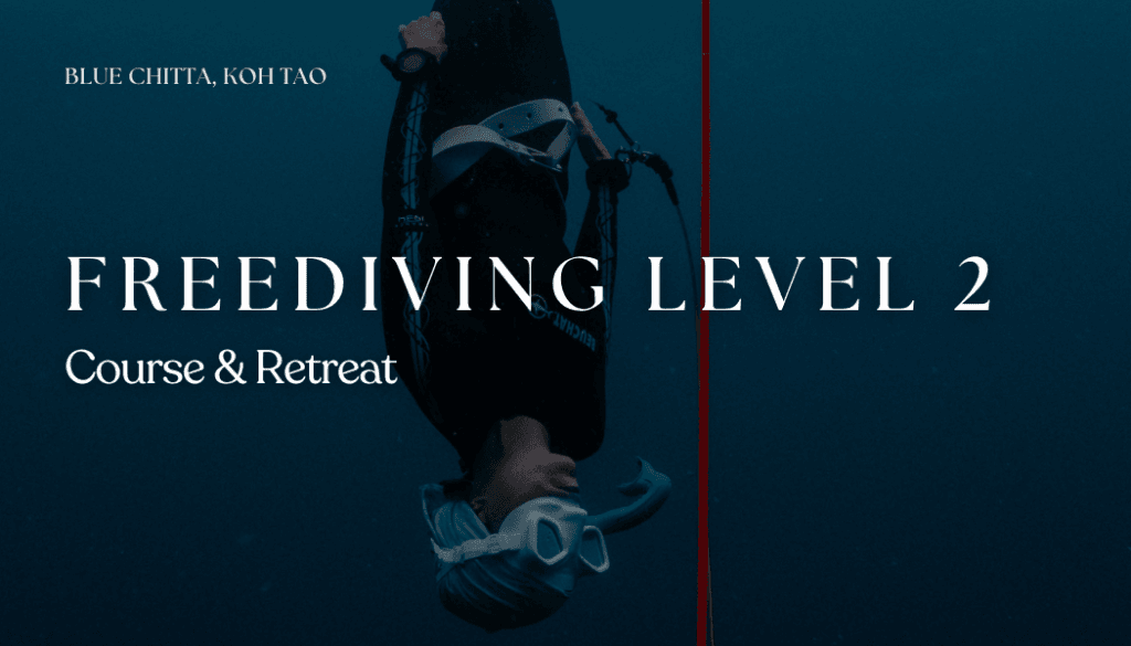 Freediving course level 2 blue chitta