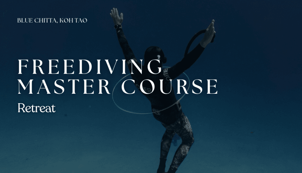 FreeDiving master course blue chitta koh tao