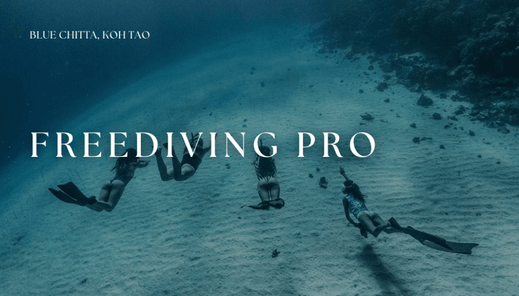 FreeDiving pro blue chitta koh tao