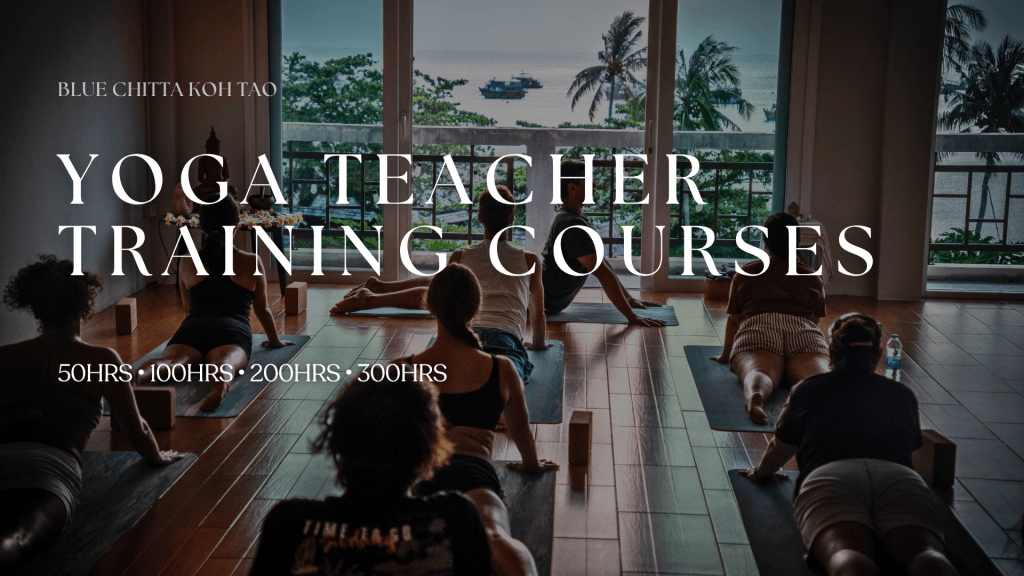 yoga teacher training koh tao