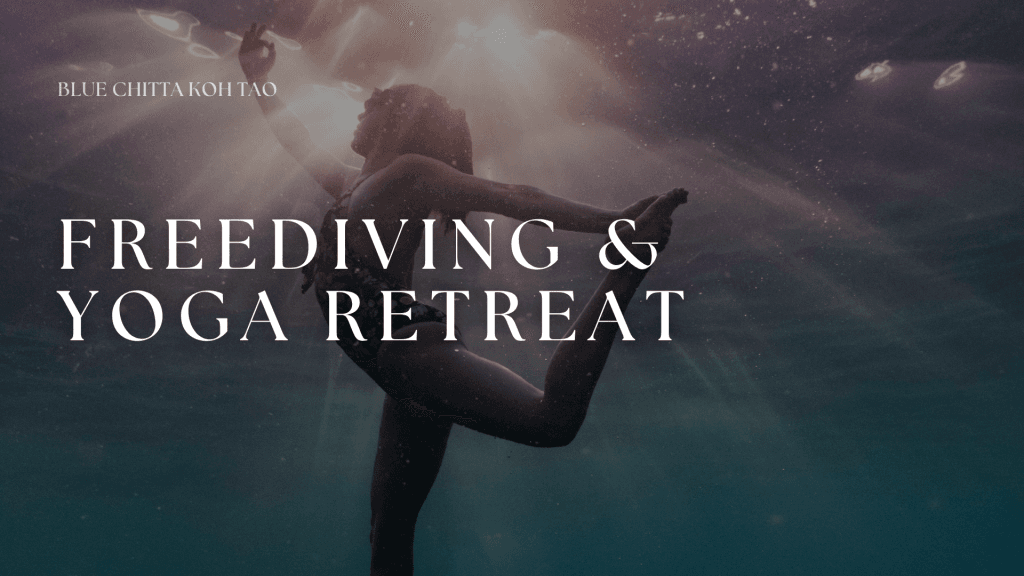 Freediving and yoga retreat