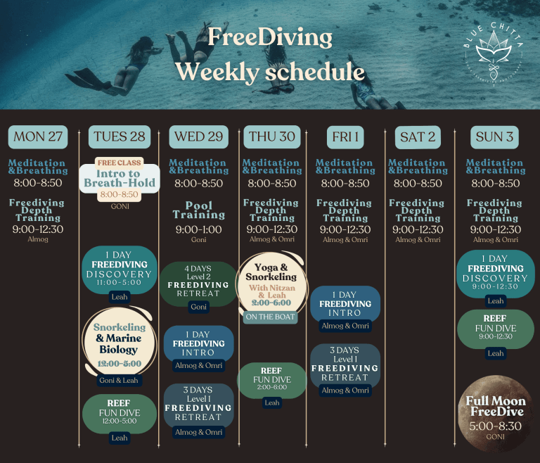 Freediving schedule blue chitta koh tao