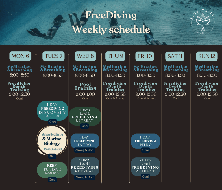 Freediving blue chitta koh tao