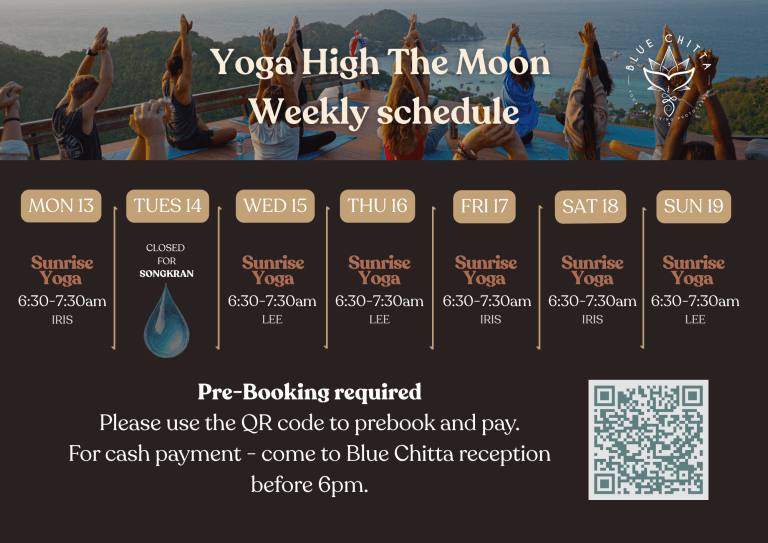Yoga high the moon koh tao