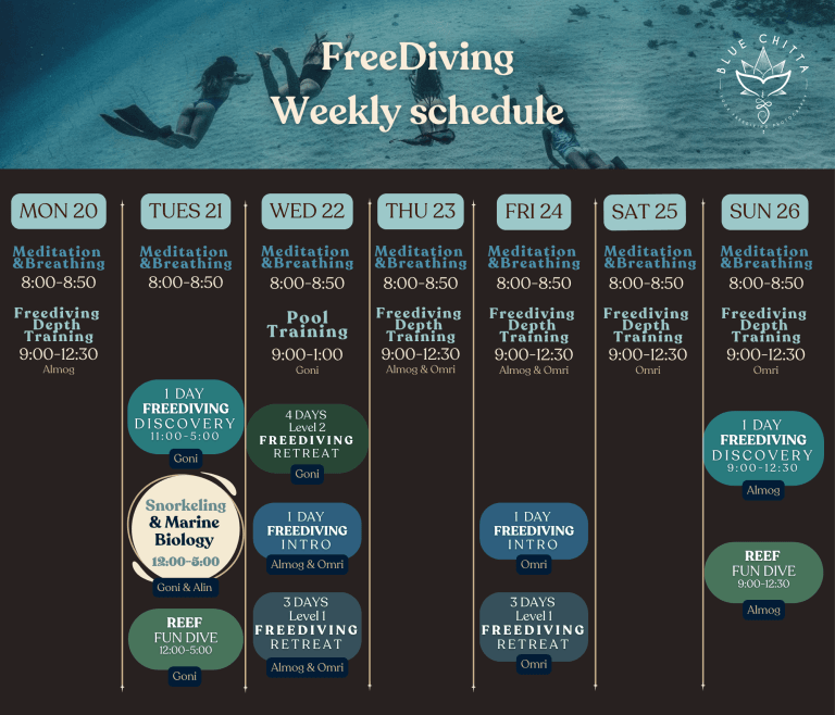 Freediving blue chitta koh tao