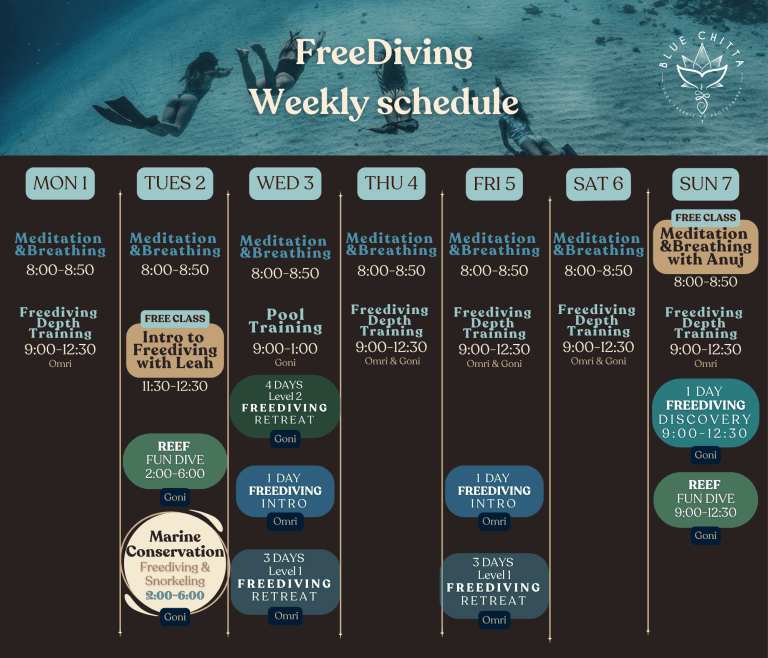 Freediving blue chitta koh tao