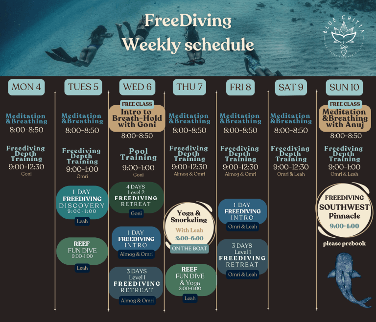 Freediving blue chitta koh tao