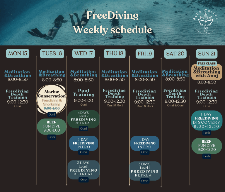 Freediving blue chitta koh tao
