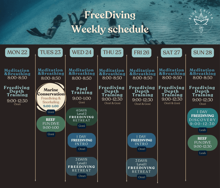 freediving blue chitta koh tao