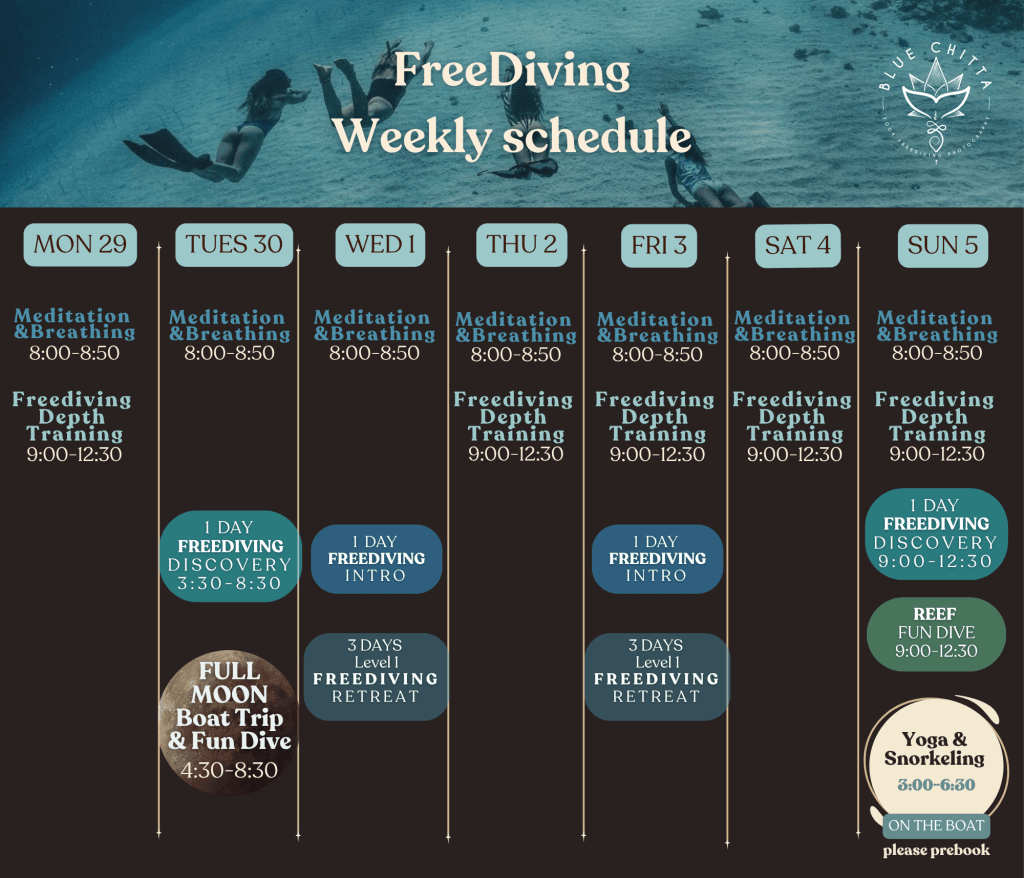 freediving blue chitta koh tao