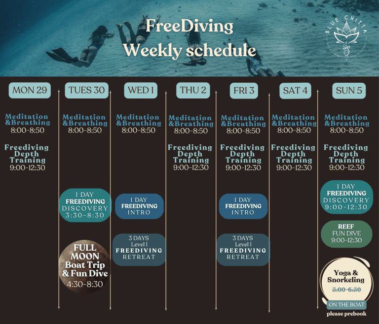 freediving blue chitta koh tao