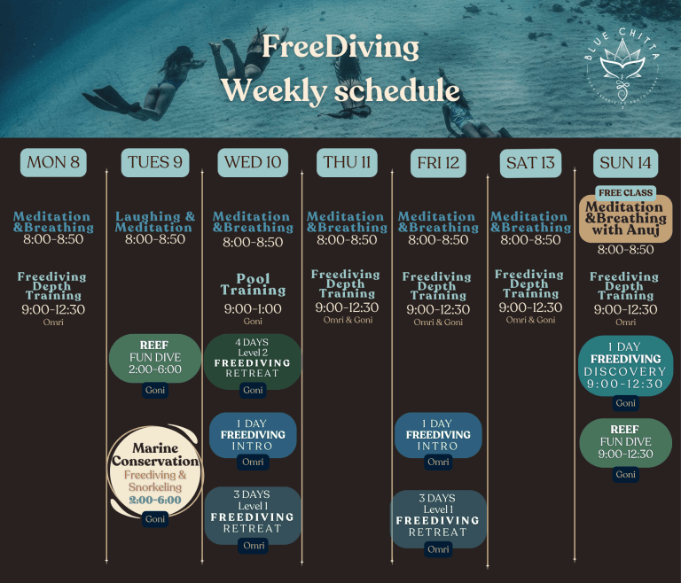 Freediving blue chitta koh tao