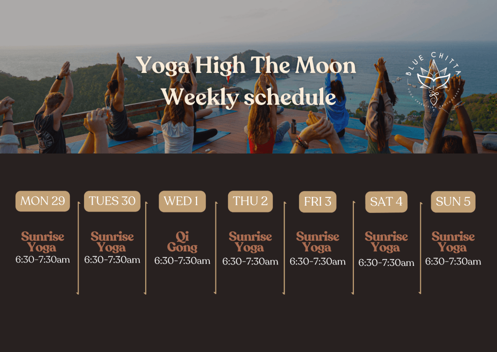 high the moon yoga koh tao