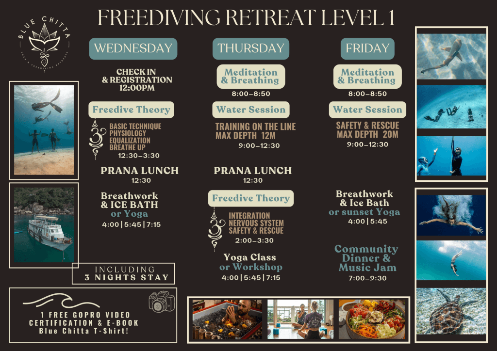 Freediving level 1 schedule blue chitta koh tao