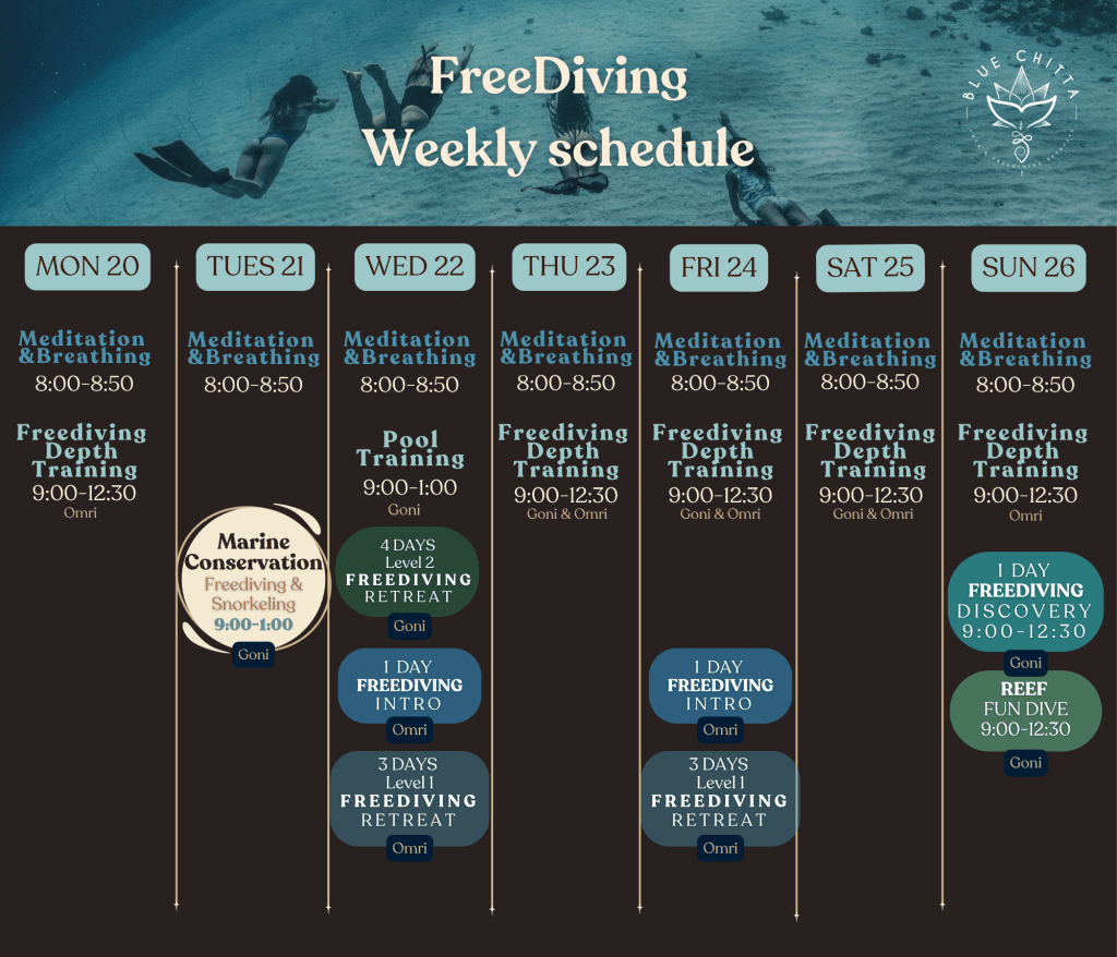 freediving blue chitta koh tao