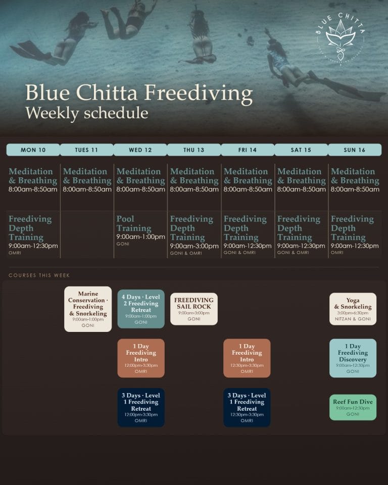 freediving blue chitta koh tao