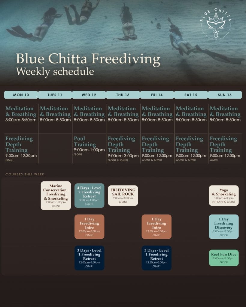 freediving blue chitta koh tao