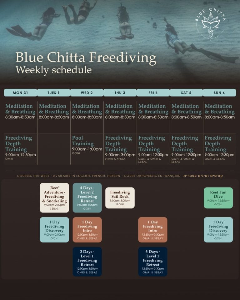 freediiving blue chitta koh tao