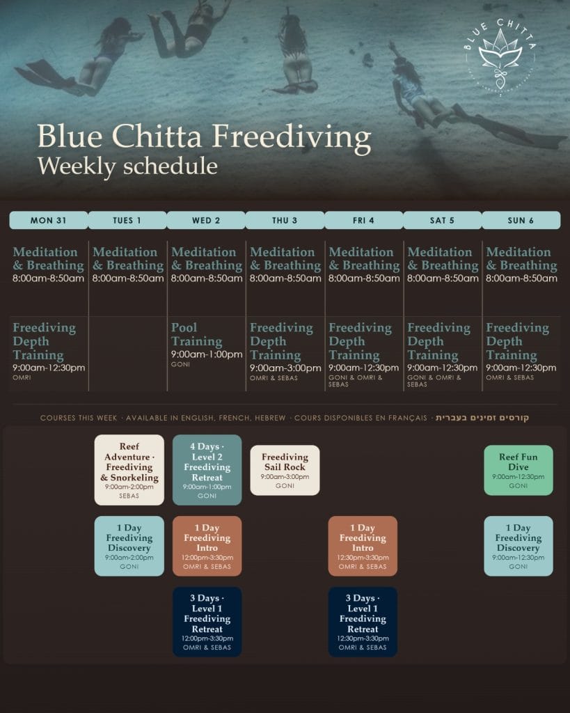 freediiving blue chitta koh tao