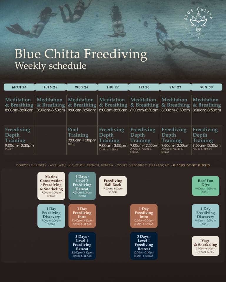 freediving koh tao blue chitta