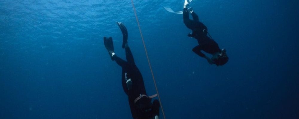 freediving koh tao blue chitta